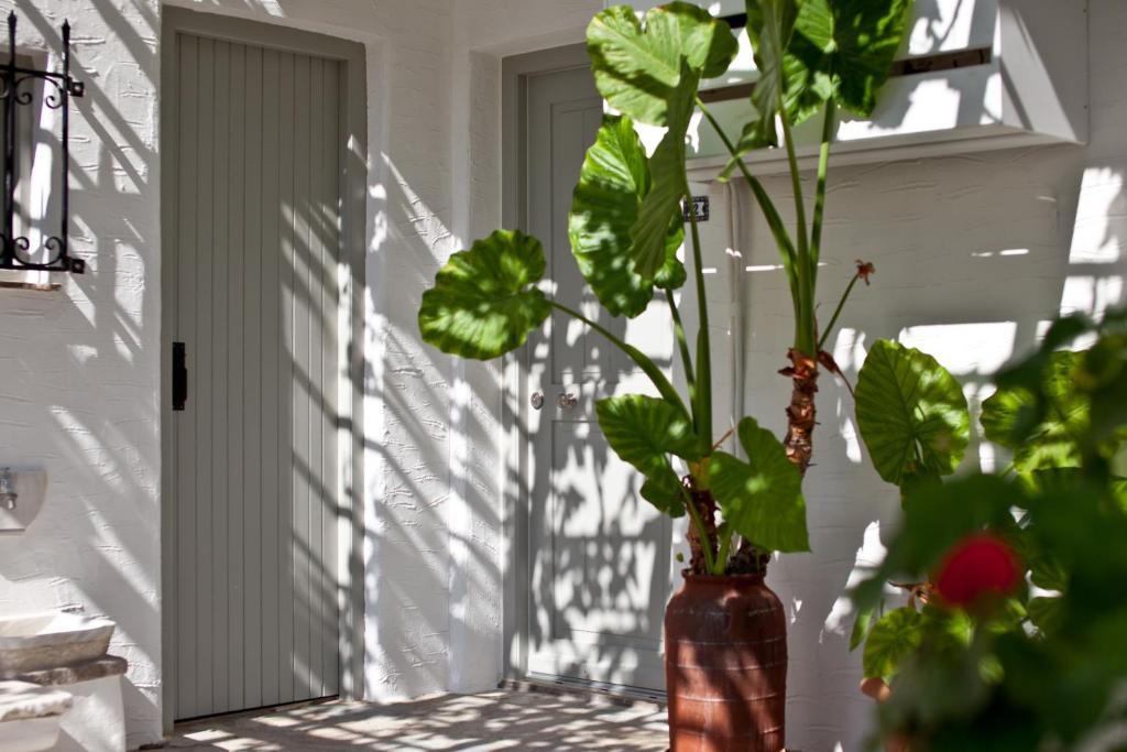 Paros Apartments Экстерьер фото